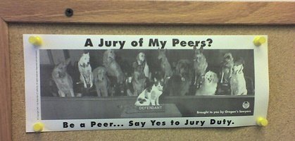 Jury-of-peers-dogs-and-cat.