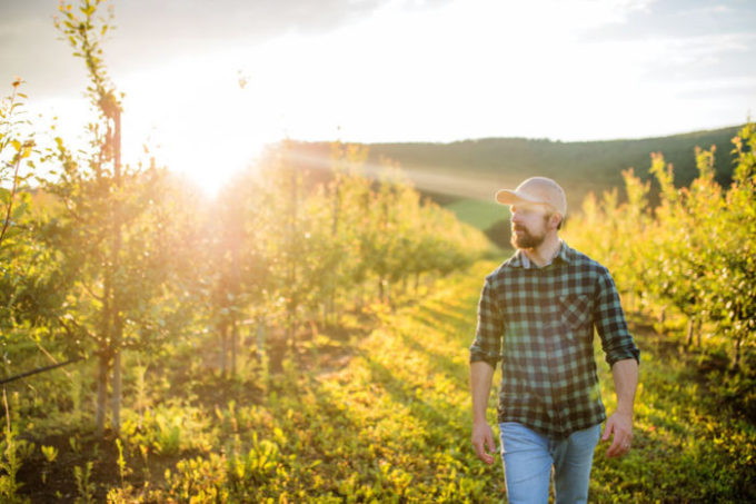 Roundup Cancer Lawsuit