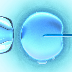 In Vitro Fertilization